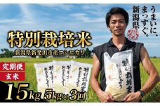 【定期便】コシヒカリ 玄米 5kg 3ヵ月 15kg 令和7年産 特別栽培米 こしひかり 米 お米 こめ 新潟米 新潟県産 新潟産 新潟 新潟県 新発田産 新発田 新発田市 斗伸 toushin043