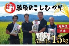 【定期便】コシヒカリ 白米 5kg 3ヵ月 15kg 令和7年産 甘うま越後の こしひかり 米 お米 こめ 新潟米 新潟県産 新潟産 新潟 新潟県 新発田産 新発田 新発田市 斗伸 toushin045