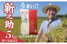【とれたて便】 令和7年産 新之助 5kg 新米 お米 こめ ご飯 ごはん おいしい 新潟 新潟県 米 5kg 新発田産 新潟産 朝食 昼食 夕飯 炊きたて 精米 ブランド watasho007_202510