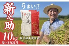 【とれたて便】 令和7年産 新之助 10kg 5kg×2袋 新米 お米 こめ ご飯 ごはん おいしい 新潟 新潟県 米 5kg 10kg 新発田産 新潟産 朝食 昼食 夕飯 炊きたて 精米 ブランド watasho008_202510