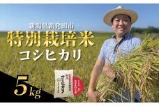 【12月発送】 新潟県産 特別栽培米 コシヒカリ 5kg 令和7年産 こしひかり 特栽米 米 新米 月岡 温泉 お米 こめ ご飯 ごはん おいしい 新潟米 新潟 新潟県 米 新発田産 新潟産 朝食 昼食 夕飯 炊きたて 精米 watasho004_202512