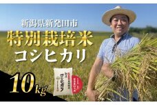 【新米とれたて便】9月下旬～10月発送 新潟県産 特別栽培米 コシヒカリ 10kg （5kg×2袋） 令和7年産 こしひかり 特栽米 米 新米 月岡 温泉 お米 こめ ご飯 ごはん おいしい 新潟米 新潟 新潟県 米 新発田産 新潟産 朝食 昼食 夕飯 炊きたて 精米 watasho005_202510