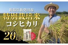 【新米とれたて便】9月下旬～10月発送 新潟県産 特別栽培米 コシヒカリ 20kg （5kg×4袋） 令和7年産 こしひかり 特栽米 米 新米 月岡 温泉 お米 こめ ご飯 ごはん おいしい 新潟米 新潟 新潟県 米 新発田産 新潟産 朝食 昼食 夕飯 炊きたて 精米 watasho006_202510