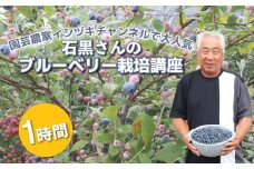 ブルーベリー 栽培 講座 1時間 育て方 剪定 苗木 園芸 初心者 人気 石黒 石黒シャクナゲ園 イシヅキちゃんねる 新潟県 新発田市 ishiguro002