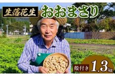 【先行受付】 生落花生 おおまさり 1.3㎏ 落花生 らっかせい ピーナッツ おつまみ ビール に合う おやつ お菓子 菓子 特産品 野菜 つぐちゃん畑 新潟 新潟県 新発田産 新発田市 tsuguchan005