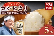 【2026年2月発送】プレミアム コシヒカリ 5kg 令和7年産 特別栽培米 こしひかり プレミアムコシヒカリ  精米 白米 ご飯 おにぎり 弁当 新潟県産 新発田産 菅谷産 新潟 米 お米 こめ 居城農園 菅谷 新潟県 米 新潟県 新発田市 D78_202602