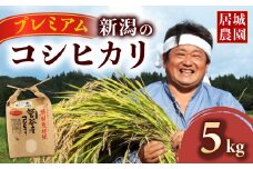 【2026年2月発送】プレミアム コシヒカリ 5kg 令和7年産 特別栽培米 こしひかり プレミアムコシヒカリ  精米 白米 ご飯 おにぎり 弁当 新潟県産 新発田産 菅谷産 新潟 米 お米 こめ 居城農園 菅谷 新潟県 米 新潟県 新発田市 D78_202602