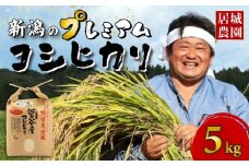 【2026年2月発送】プレミアム コシヒカリ 5kg 令和7年産 特別栽培米 こしひかり プレミアムコシヒカリ  精米 白米 ご飯 おにぎり 弁当 新潟県産 新発田産 菅谷産 新潟 米 お米 こめ 居城農園 菅谷 新潟県 米 新潟県 新発田市 D78_202602