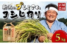 【2026年2月発送】プレミアム コシヒカリ 5kg 令和7年産 特別栽培米 こしひかり プレミアムコシヒカリ  精米 白米 ご飯 おにぎり 弁当 新潟県産 新発田産 菅谷産 新潟 米 お米 こめ 居城農園 菅谷 新潟県 米 新潟県 新発田市 D78_202602