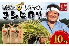 【2025年11月発送】プレミアム コシヒカリ 10kg 令和7年産 特別栽培米 こしひかり プレミアムコシヒカリ  精米 白米 ご飯 おにぎり 弁当 新潟県産 新発田産 菅谷産 新潟 米 お米 こめ 居城農園 菅谷 新潟県 米 新潟県 新発田市 D79_202511