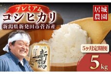 【定期便 2025年10月発送開始】プレミアム コシヒカリ 5kg 令和7年産 特別栽培米 定期便 5ヶ月 こしひかり プレミアムコシヒカリ 精米 白米 ご飯 おにぎり 弁当 新潟県産 新発田産 菅谷産 新潟 米 お米 こめ 居城農園 菅谷 新潟県 米 新潟県 新発田市 ijiro001_2025