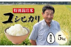 【10月発送 無洗米】特別栽培米 コシヒカリ 無洗米 5kg 新潟 米 新潟県 こめ ご飯 ごはん おいしい こしひかり 新発田 新発田産 新潟産 朝食 昼食 夕飯 炊きたて 精米 success003_202510