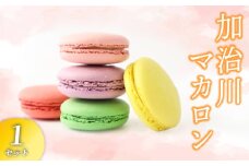マカロン 1セット 【 イチジク 枝豆 桜 苺 はちみつ レモン いちご えだまめ 洋菓子 菓子 お菓子 スイーツ 甘味 ギフト プレゼント お土産 新潟県 新発田市 sinpo002 】