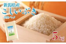 こしいぶき 5kg 令和7年産 五つ星お米マイスター 真空パック 米 新米 新発田産 備蓄 非常 防災 長期保存 アウトドア ごはん ご飯 お米 こめ 新潟県 新発田市 新潟県産 三糧 sanryo013