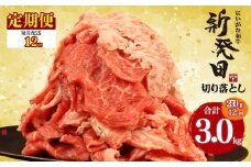 【定期便】 切り落とし 250g×12回 計3kg 新発田牛 黒毛和牛 霜降り 和牛 ブランド牛 国産 しゃぶしゃぶ 小間切れ 小分け 贈答 お歳暮 新潟 新発田 新潟県 新発田市 近江牛 神戸牛 松阪牛 米沢牛 三大和牛 に負けない アルビレックス アルビレックス新潟 えのもとミート enomoto025
