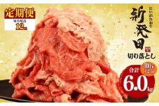 【定期便】 切り落とし 500g×12回 計6kg 新発田牛 黒毛和牛 霜降り 和牛 ブランド牛 国産 しゃぶしゃぶ 小間切れ 小分け 贈答 お歳暮 新潟 新発田 新潟県 新発田市 近江牛 神戸牛 松阪牛 米沢牛 三大和牛 に負けない アルビレックス アルビレックス新潟 えのもとミート enomoto028