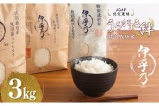 【JGAP認証農場】令和7年産 魚沼産コシヒカリ 特別栽培米「伊乎乃」 精米3kg うちがまき絆【0002-UK08-01】