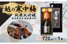 日本酒 越の寒中梅 越淡麗 純米大吟醸 720ml×1本 新潟銘醸 純米大吟醸酒 新潟 蔵元 お酒 | 清酒 酒 さけ 地酒 四合瓶 お取り寄せ 取り寄せ 人気 おすすめ 贈り物 贈答 プレゼント ギフト 父の日 新潟県 小千谷市【0002-0200-01】