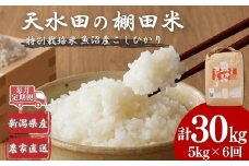 【令和7年産 新米予約 定期便】わかとち産 棚田で育てた特別栽培米魚沼コシヒカリ 棚田米 全30kg(5kg×毎月お届け全6回) 先行予約 Mt.ファームわかとち | お米 米 こしひかり 白米 精米 魚沼 魚沼産 ブランド米【0013-0005DB00-01】