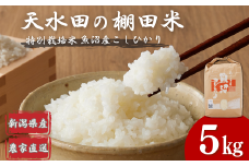 【令和7年産 新米予約】わかとち産 棚田で作る特別栽培米の魚沼コシヒカリ 棚田米 5kg 先行予約 Mt.ファームわかとち | 新潟県産 コシヒカリ お米 米 おこめ こめ コメ こしひかり 精米 白米 魚沼産 ブランド米【0013-0003-01】