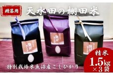 【令和7年産 新米予約】わかとち産 魚沼コシヒカリ 特別栽培 棚田米 贈答用1.5kg×3袋 白米 精米  先行予約 新潟県産 コシヒカリ Mt.ファームわかとち【0013-0004-01】
