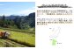 稲刈りの様子