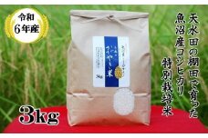 【数量限定】 令和6年度産 特別栽培米 魚沼産コシヒカリ「冬井のかがやき米」 3kg(3kg×1袋) 甘み 粘り アスカ冬井 【0002-0001-01】