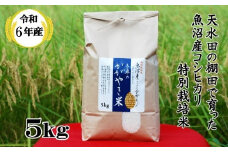 【数量限定】 令和6年度産 特別栽培米 魚沼産コシヒカリ「冬井のかがやき米」 5kg(5kg×1袋) 甘み 粘り アスカ冬井 【0002-0149-01】