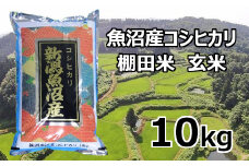 S25P525 【先行予約】【令和7年産 新米】魚沼産コシヒカリ棚田米 玄米10kg 佐藤農場 ※2025年9月下旬以降より順次発送予定