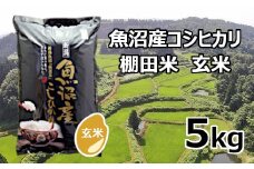 S14P524 【先行予約】【令和7年産 新米】魚沼産コシヒカリ棚田米 玄米5kg 佐藤農場 ※2025年9月下旬以降より順次発送予定