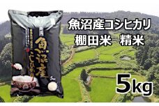 S15P513 【先行予約】【令和7年産 新米】魚沼産コシヒカリ棚田米 白米5kg 佐藤農場 ※2025年9月下旬以降より順次発送予定