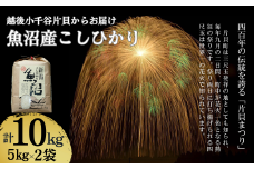 【令和7年産 新米予約】 魚沼産コシヒカリ 10kg(5kg×2袋) 世界一の四尺玉の町 片貝町からお届け 精米 白米 新潟県産 米萬| 新潟県産コシヒカリ お米 米 こしひかり 魚沼産 ブランド米【0002-KM02-01】