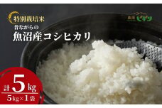 令和7年産 昔ながらの魚沼産コシヒカリ 精米5kg(5kg×1袋) 従来品種 農園ビギン 【0002-BN04-01】