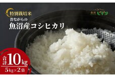 令和7年産 昔ながらの魚沼産コシヒカリ 精米10kg(5kg×2袋) 従来品種 農園ビギン 【0002-BN05-01】