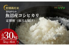 令和7年産 昔ながらの魚沼産コシヒカリ 精米30kg(5kg×毎月全6回) 農園ビギン【0002-BN12DB00-01】