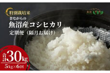 令和7年産 昔ながらの魚沼産コシヒカリ 精米30kg(5kg×隔月全6回) 農園ビギン【0002-BN13DB00-01】