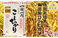 11P297G 【令和6年産】特別栽培米 魚沼産コシヒカリ 5kg（(有)グリーン）白米 魚沼 米