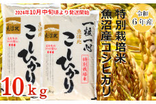 22P299G 【令和6年産】特別栽培米 魚沼産コシヒカリ10kg(5kg×2袋)（(有)グリーン） 白米 魚沼 米
