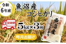 33P388BE 令和6年産 魚沼産コシヒカリ 定期便 5kg×3回【3か月連続お届け】（小千谷米穀）白米 魚沼 米 定期便