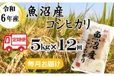 131P391BE 令和6年産 魚沼産コシヒカリ 定期便 5kg×12回【毎月お届け】（小千谷米穀） 精米 米 魚沼 魚沼産 新潟県 小千谷市