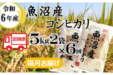 131P397BE 令和6年産 魚沼産コシヒカリ 定期便 5kg2袋×6回【隔月お届け】（小千谷米穀）白米 精米 米 魚沼 魚沼産 新潟県 小千谷市 定期便