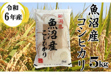 11P376BE 令和6年産 魚沼産コシヒカリ5kg（小千谷米穀）白米 精米 米 魚沼 魚沼産 新潟県 小千谷市