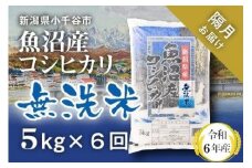 KT74P346 令和6年産 無洗米 魚沼産コシヒカリ定期便5kg×6回（隔月お届け）（米太）