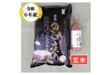 S18P453 魚沼産コシヒカリ・棚田米 玄米5㎏＋黒米あまざけ500ml 1本 佐藤農場 玄米 甘酒 ノンアルコール 古代米 新潟県 小千谷市