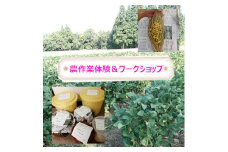 里山を守る自然栽培大豆オーナー 味噌＆納豆づくり体験 ポレポレ工房 【0011-0002-01】
