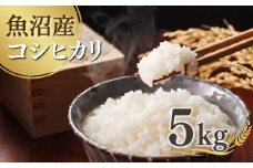 【先行予約】 令和7年産新米 魚沼産コシヒカリ 5kg(5kg×1袋) 雪室貯蔵 吉兆楽 【0038-0001-01】