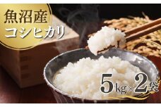 【先行予約】 令和7年産新米 魚沼産コシヒカリ 5kg×2袋 雪室貯蔵 吉兆楽 【0038-0003-01】