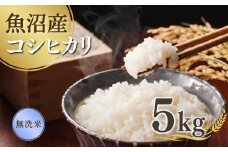 【先行予約】 令和7年産新米 魚沼産コシヒカリ 無洗米 5kg(5kg×1袋) 雪室貯蔵 吉兆楽 【0038-0002-01】