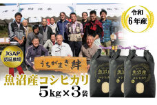 【JGAP認証農場】 令和6年度産 魚沼産コシヒカリ 精米15kg(5kg×3袋) うちがまき絆 【0002-0092-01】