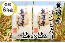 KU10P375 令和6年産 魚沼産コシヒカリ 2kg2袋 和紙製P袋（小千谷米穀）白米 魚沼 米 魚沼産 新潟県 小千谷市